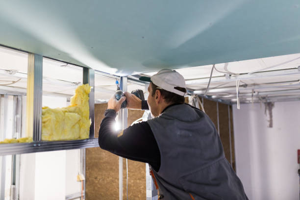 Best Commercial Insulation in Wrightsville, AR