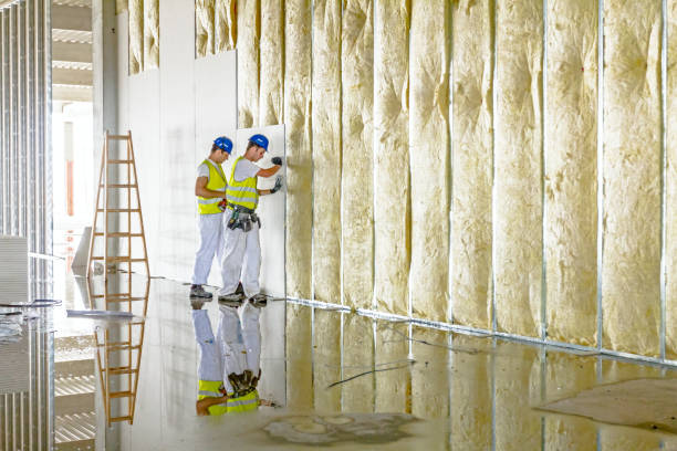 Best Types of Insulation in Wrightsville, AR
